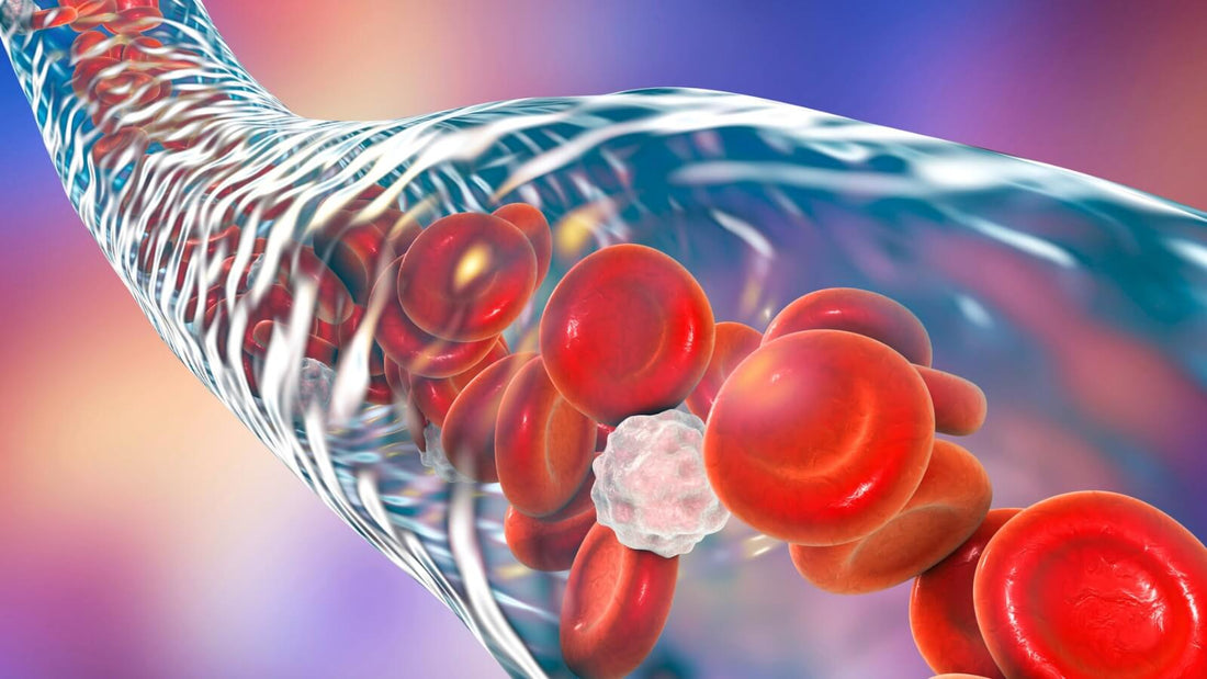 Comment les aimants influencent la circulation sanguine ?
