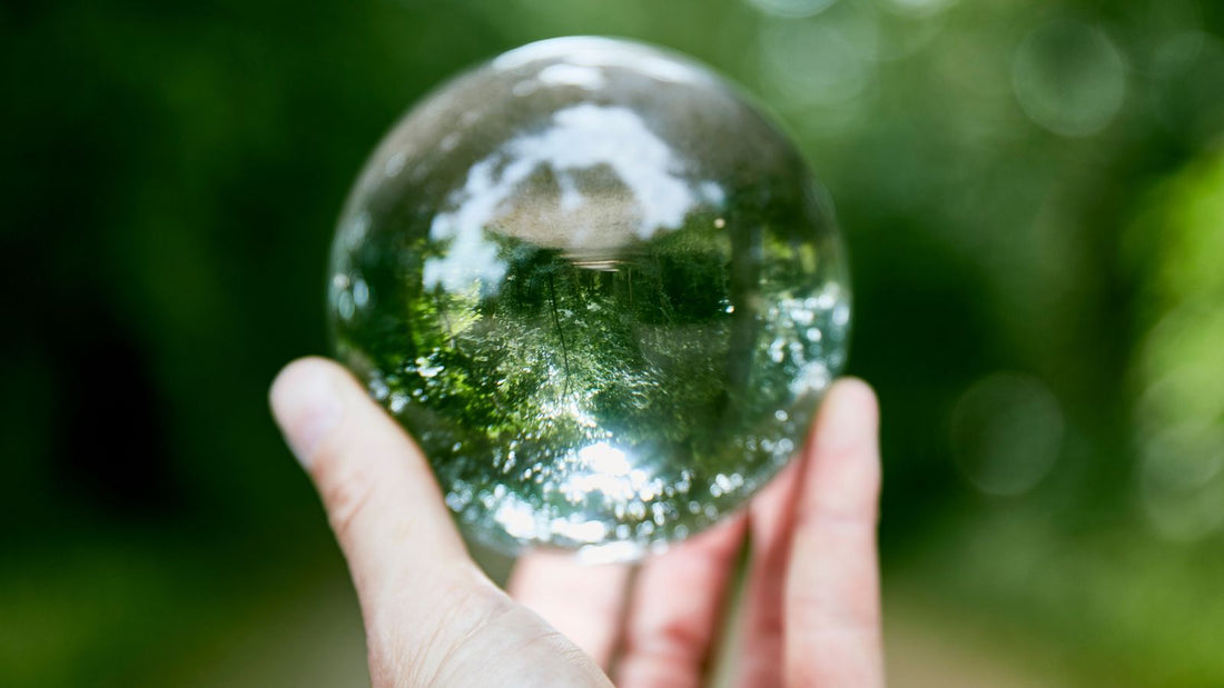 Main tenant un gobe de verre avec en arrière plan un forêt