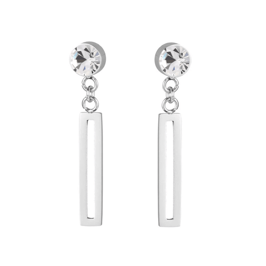 Boucles d'oreilles en néodyme - Argent & Zirconium